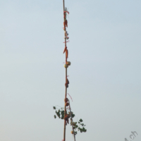 2012-03-21_VNM-S_005