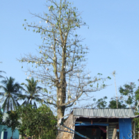 2012-03-21_VNM-S_011