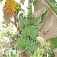 2012-03-21_VNM-S_022