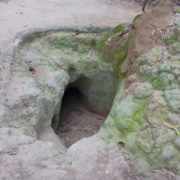 2012-03-23_VNM-S_008