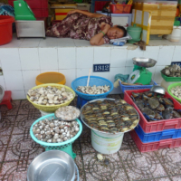 2012-03-23_VNM-S_018