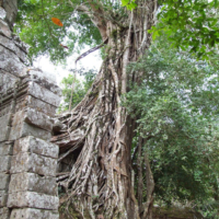 2012-03-25_KHM_002