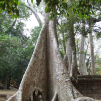 2012-03-25_KHM_003