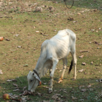2012-03-26_KHM_004