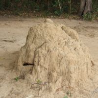 2012-03-26_KHM_016