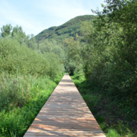2018-08-29_Kaltern_35000