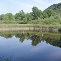 2018-08-29_Kaltern_37001