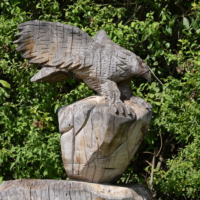 2018-08-29_Kaltern_50000