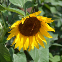 2018-08-29_Kaltern_52000