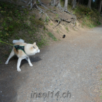2018-09-21_Herbstausflug_06800