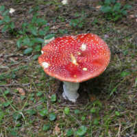2018-09-21_Herbstausflug_07500