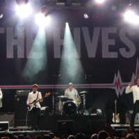 2019-08-23-SoG_01800_The_Hives