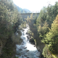 2020-09-19_Albulapass_01400