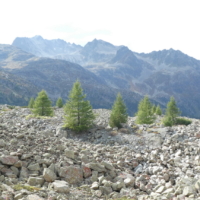 2020-09-19_Albulapass_03800