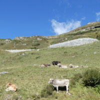 2021-09-18_Oberalppass_002_Bildgröße ändern
