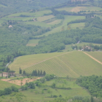 2025-05-20_Radda-in-Chianti_01600