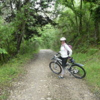 2025-05-21_Radda-in-Chianti_00200