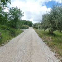 2025-05-21_Radda-in-Chianti_00900