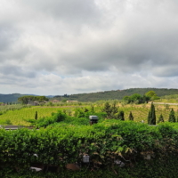 2025-05-22_Radda-in-Chianti_00000