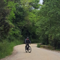 2025-05-22_Radda-in-Chianti_01104