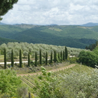 2025-05-22_Radda-in-Chianti_01300