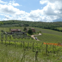 2025-05-23_Radda-in-Chianti_00200
