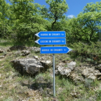 2025-05-23_Radda-in-Chianti_00700