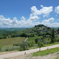 2025-05-23_Radda-in-Chianti_01100