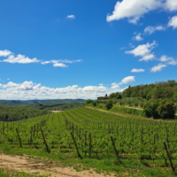 2025-05-23_Radda-in-Chianti_01405