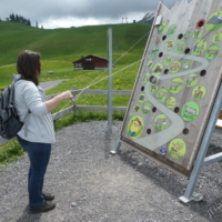 2025-06-06_Fruehlingsausflug_02800