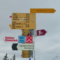 2025-06-06_Fruehlingsausflug_03100