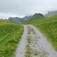 2025-06-06_Fruehlingsausflug_03200